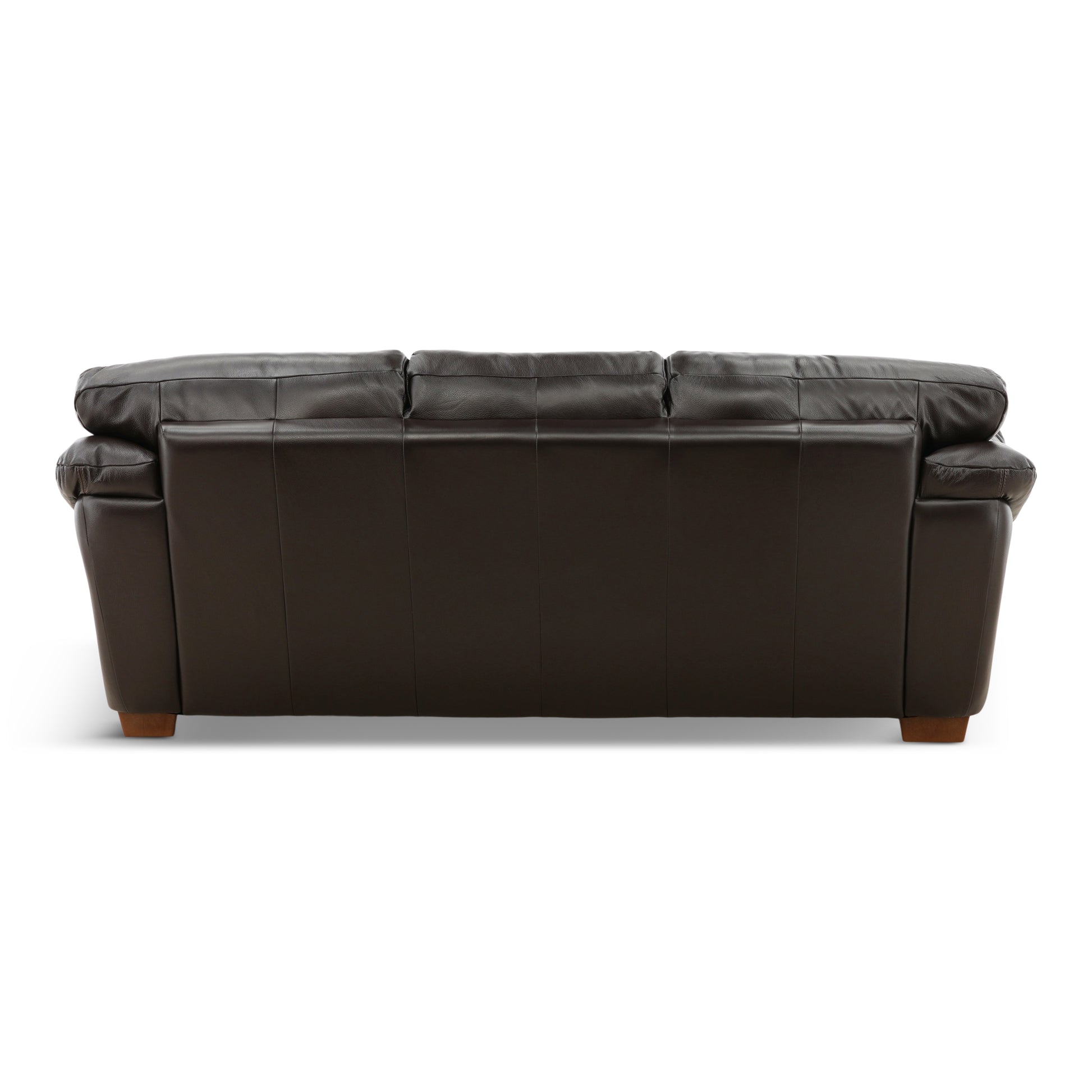Camy Leather Sofa
