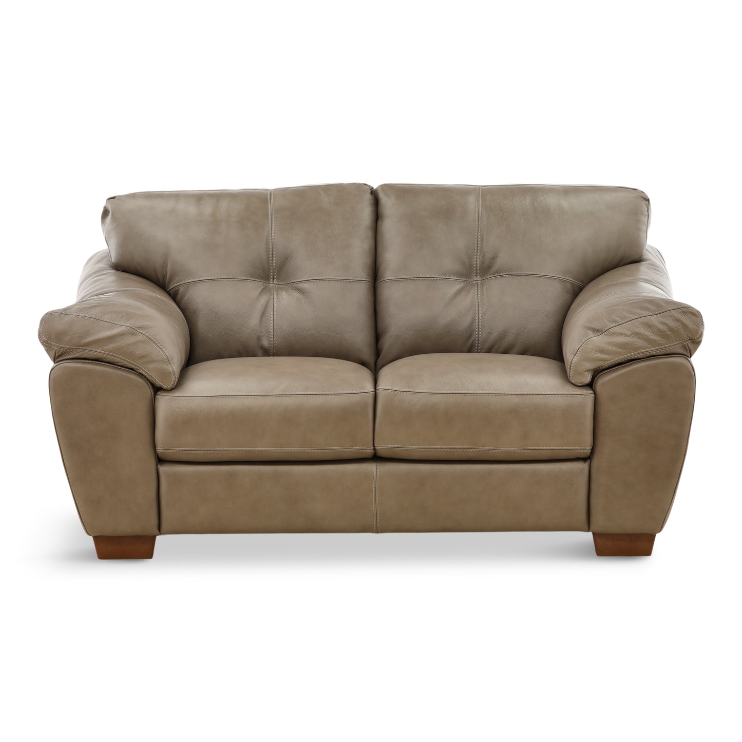 Camy Leather Loveseat