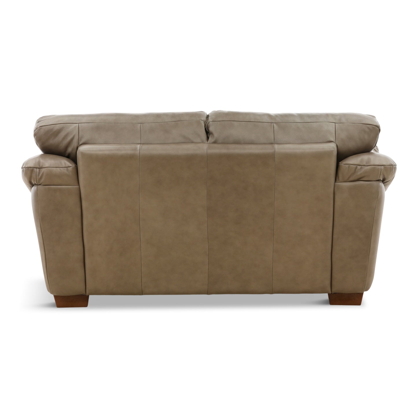 Camy Leather Loveseat