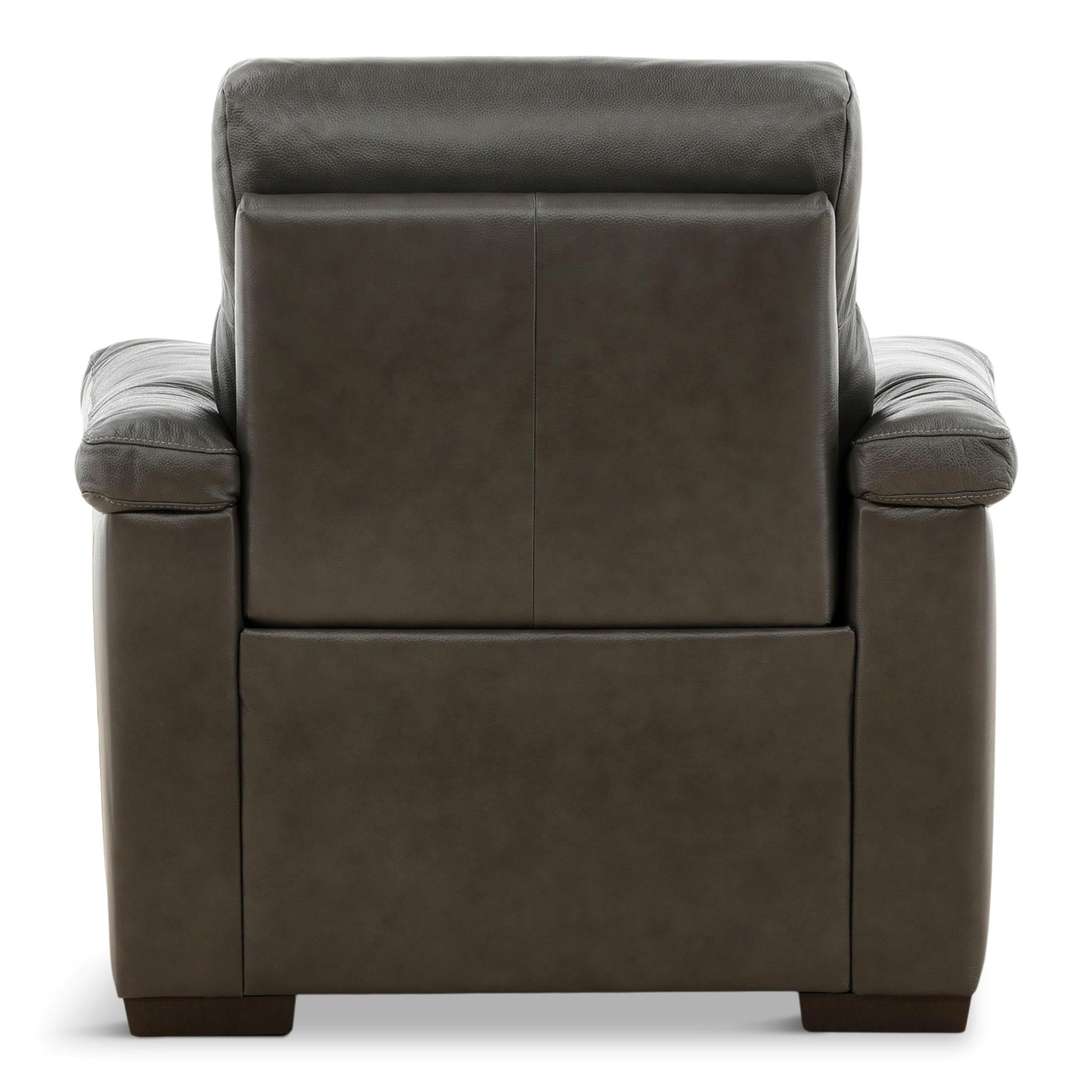 Estremo Leather Power Recliner