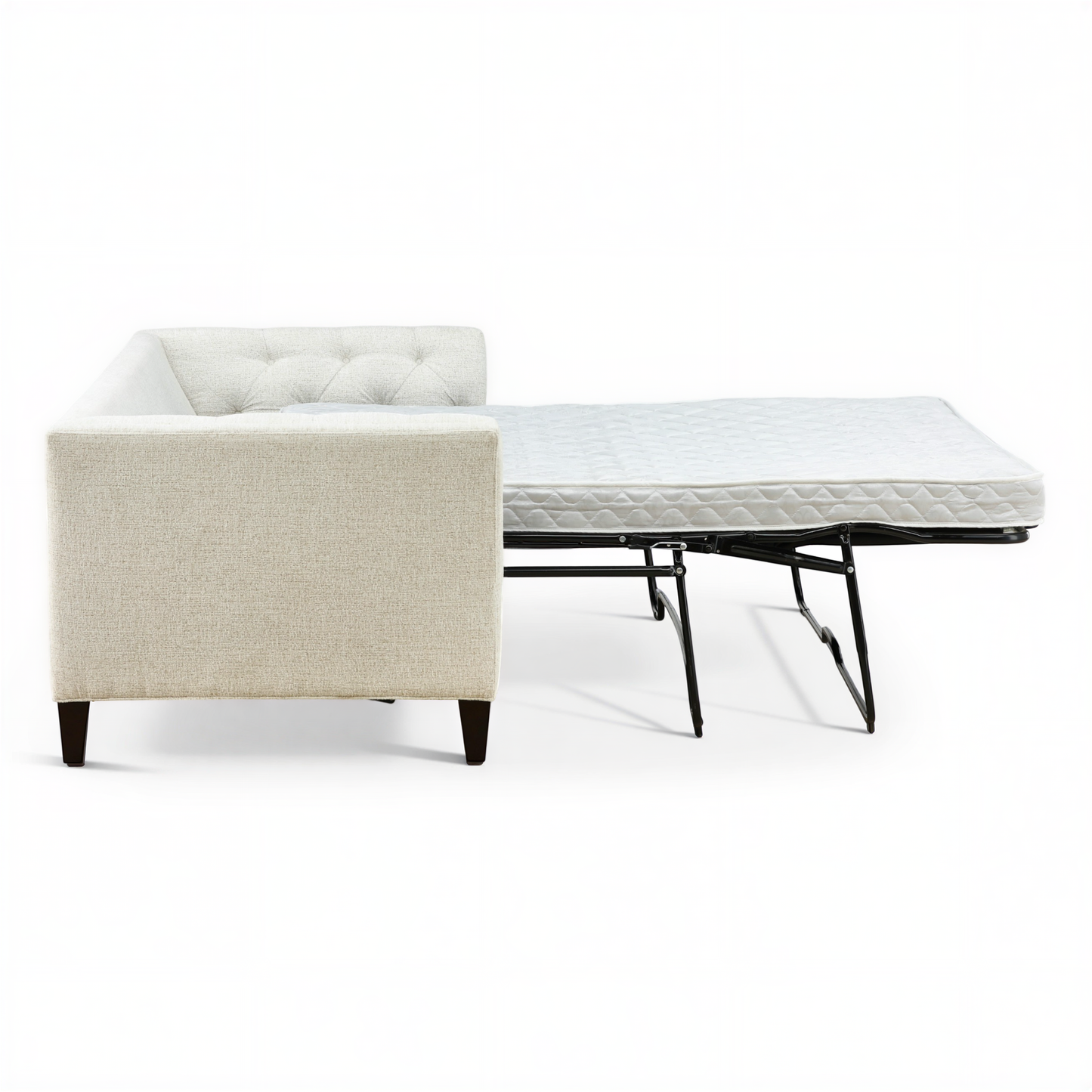 Rayna Sleeper Sofa