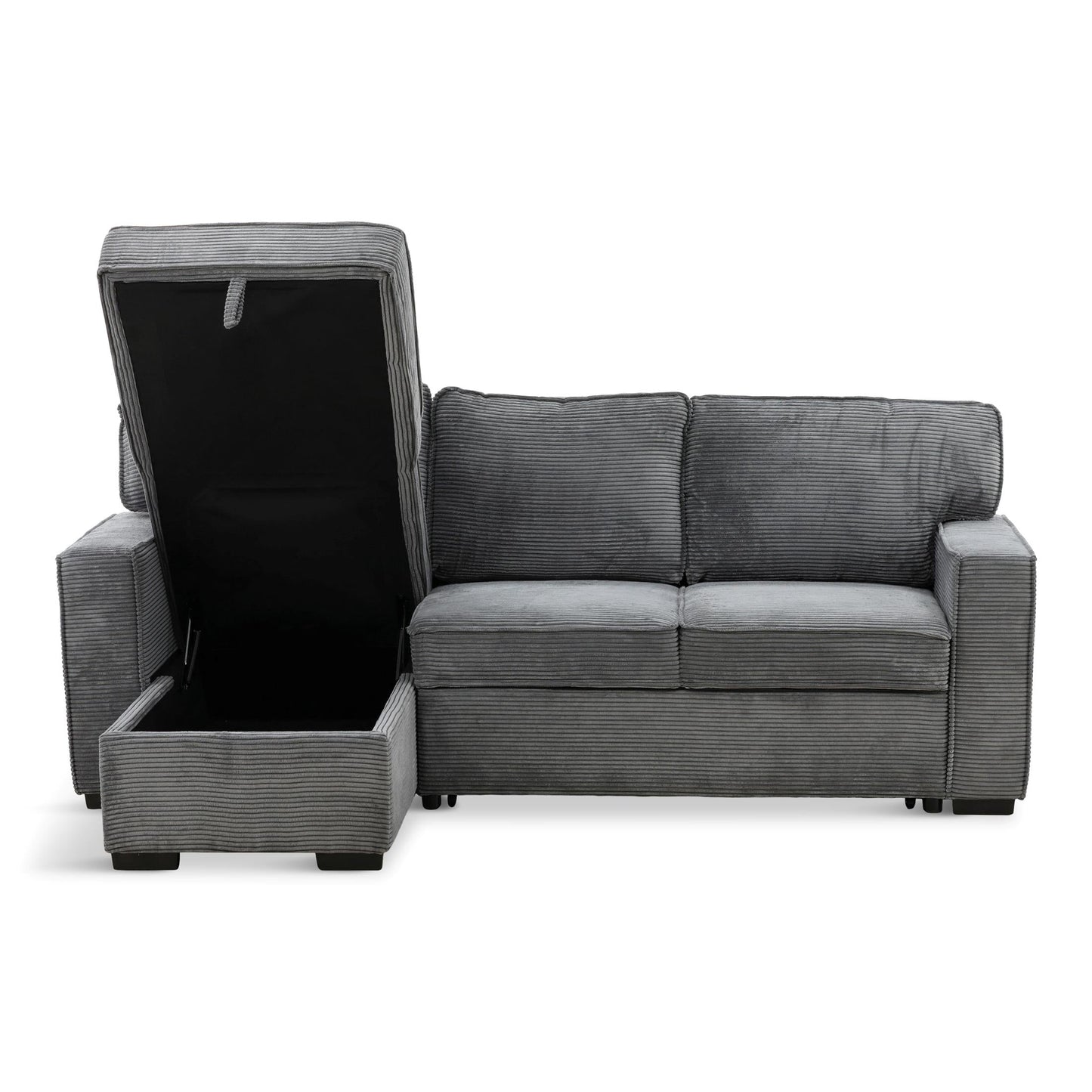 Amir 2-Piece Sectional With Sofa Bed