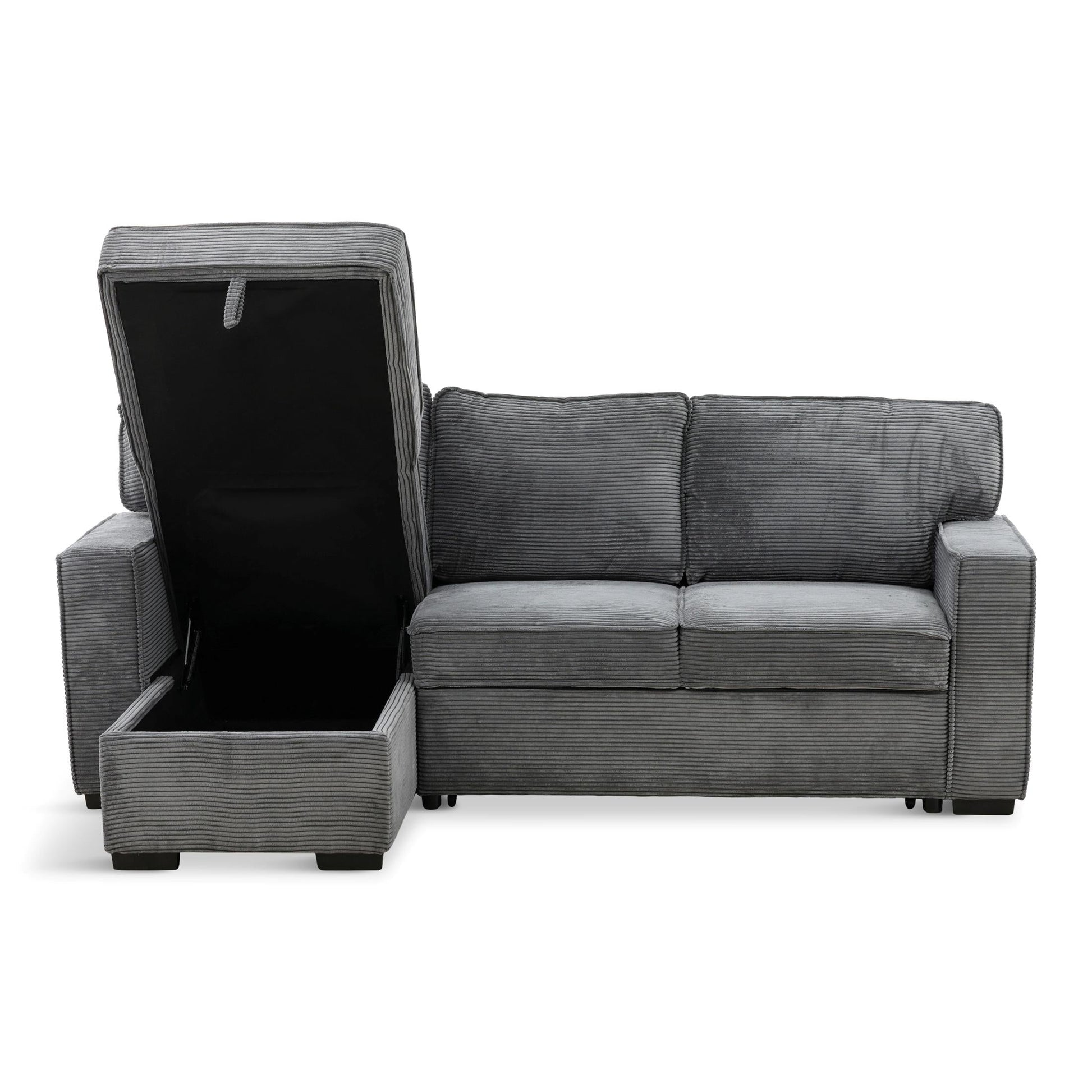 Amir 2-Piece Sectional With Sofa Bed
