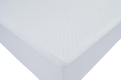 Basic Protector Queen Mattress Protector