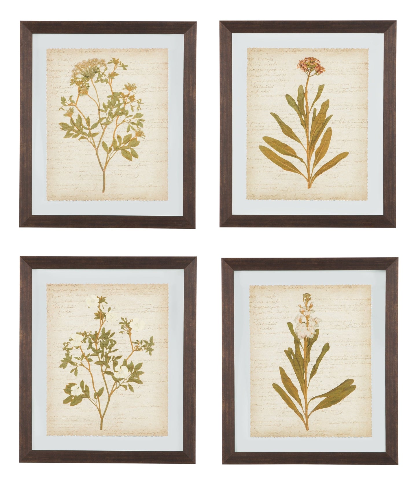 Dyani Wall Art (Set of 4)