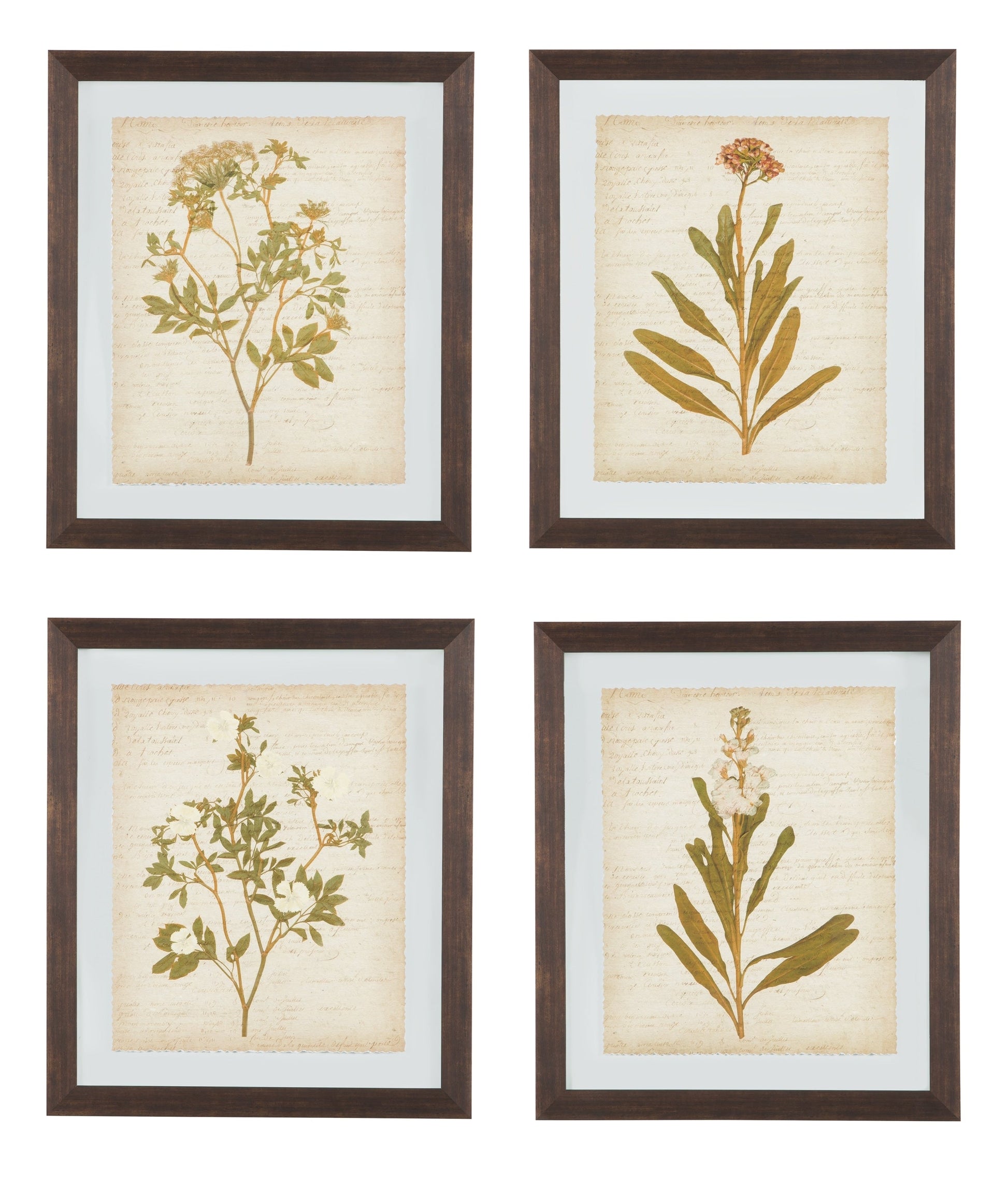 Dyani Wall Art (Set of 4)