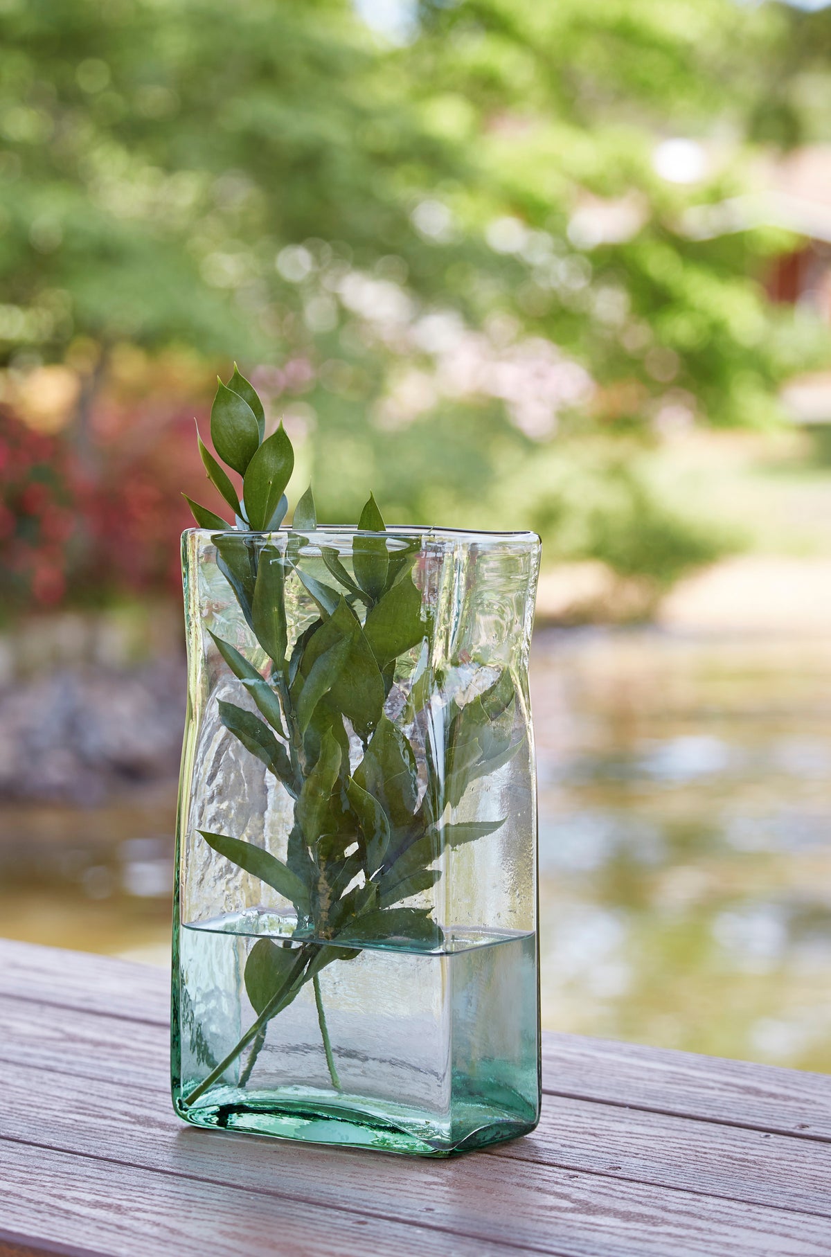 Green-tinted glass vase cube with clear sides, holding leafy stems