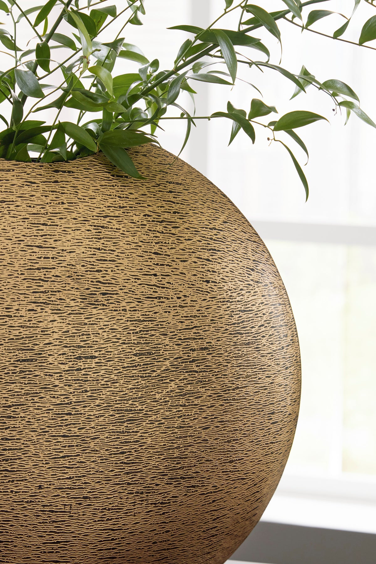 Ashley Iansboro Vase