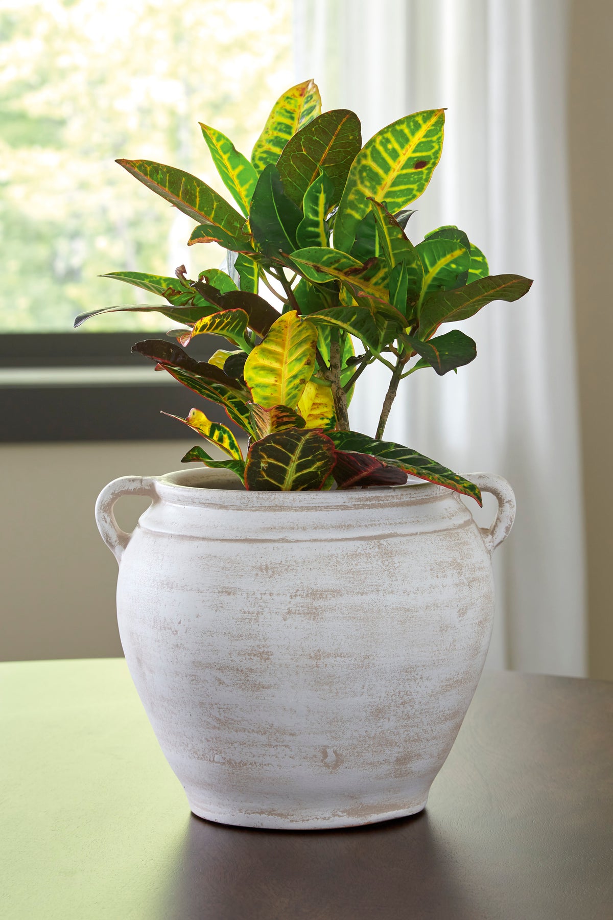 White ceramic vase with side handles, filled with green leafy stems