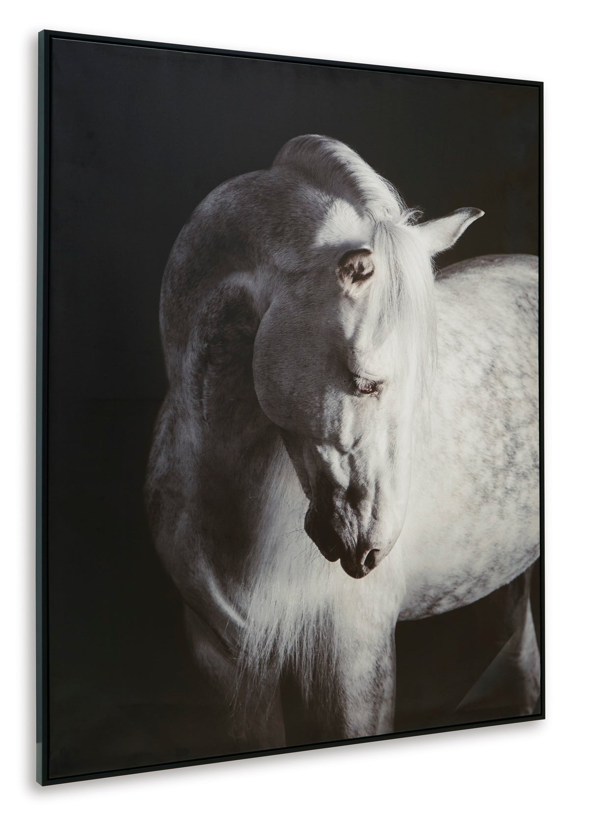 Ashley Archerwick Wall Art