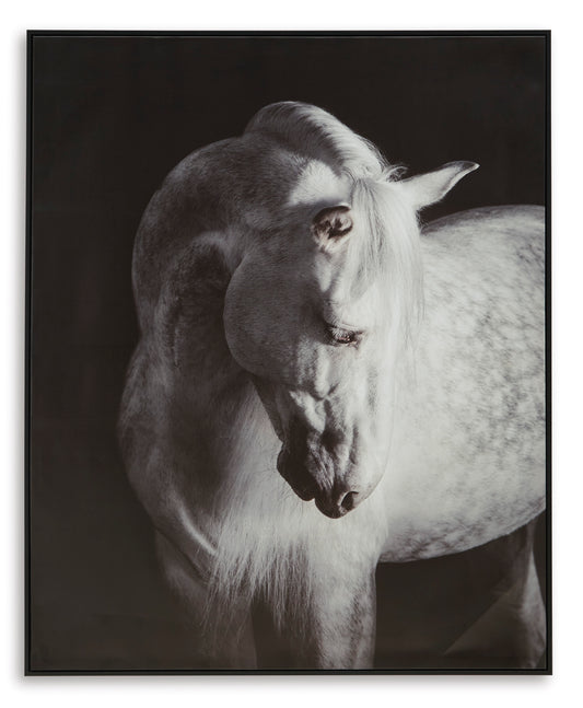Framed wall art of a black-and-white dog portrait with head turned