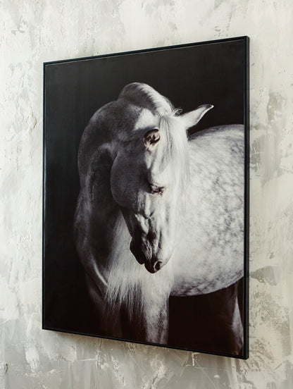 Ashley Archerwick Wall Art