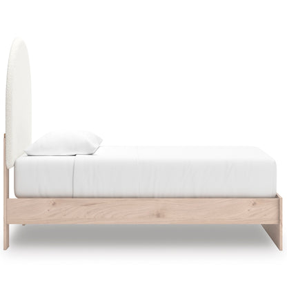 Shapella Upholstered Panel Bed