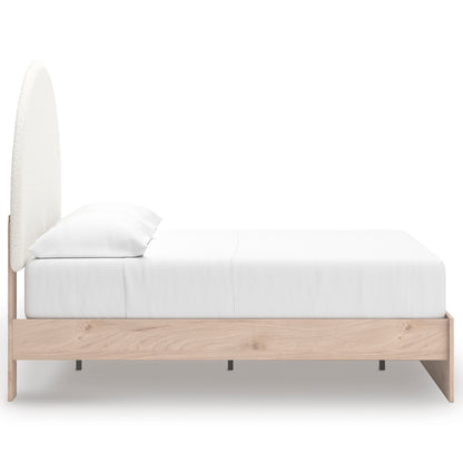 Shapella Upholstered Panel Bed
