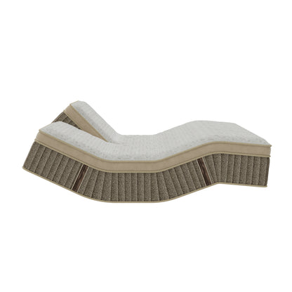 Grand Legacy Perfect Posture Medium Firm Mattress