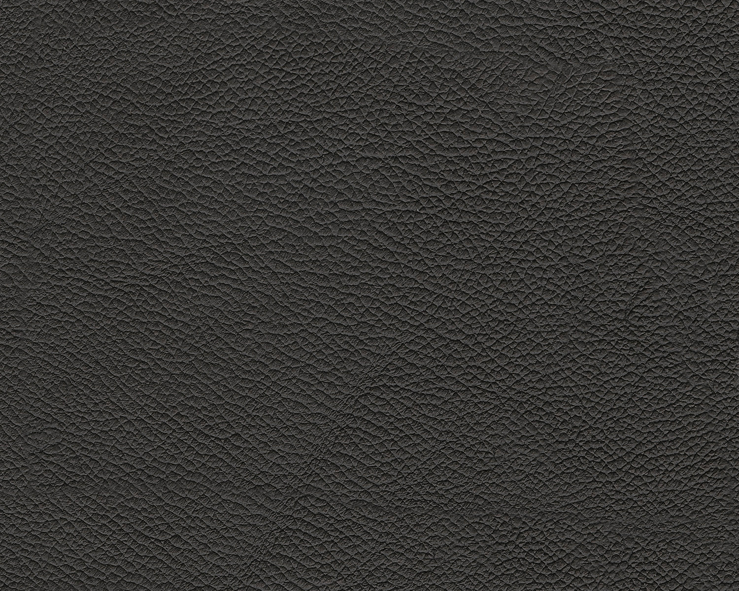 5Z-Relaxation Power Recliner