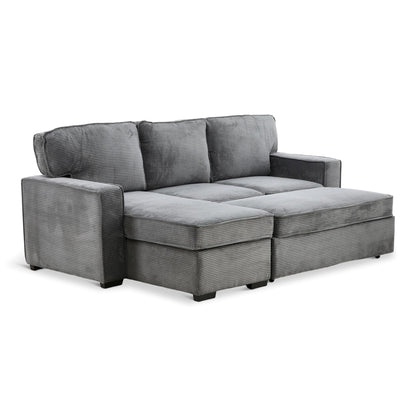 Amir 2-Piece Sectional With Sofa Bed