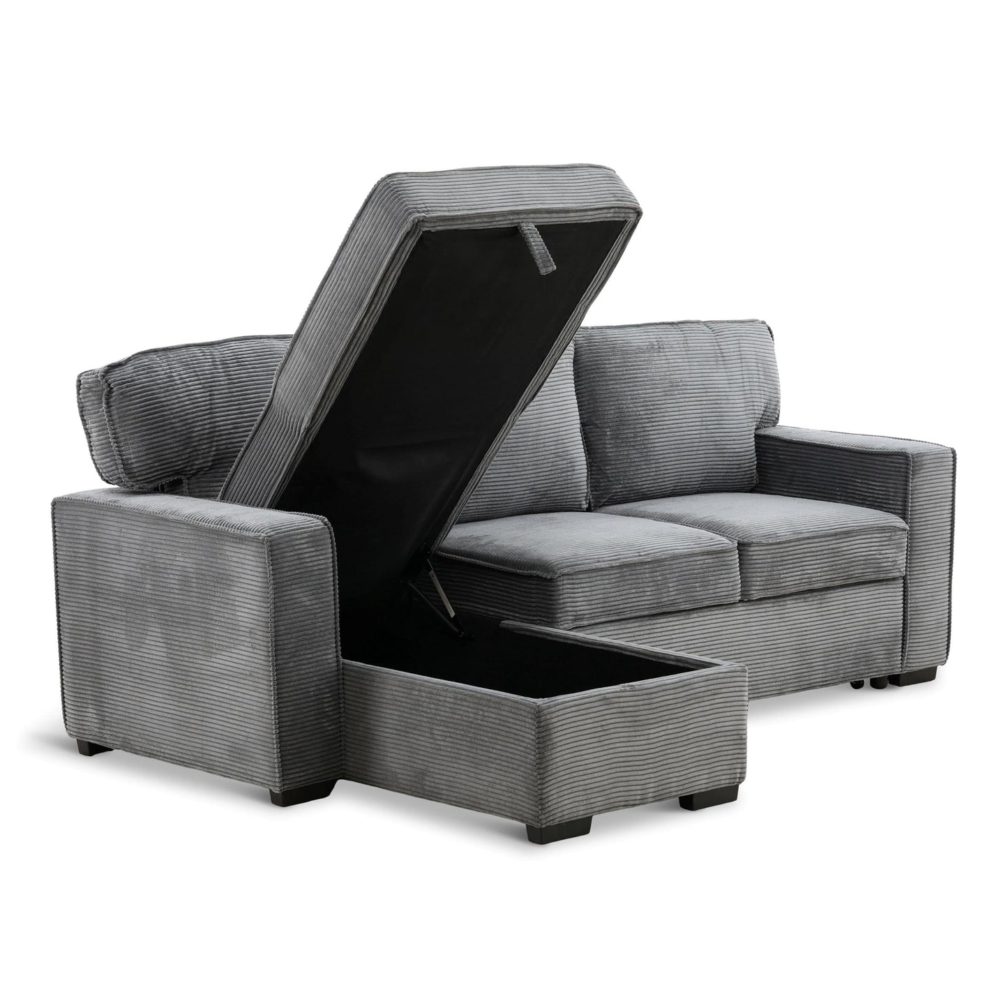 Amir 2-Piece Sectional With Sofa Bed